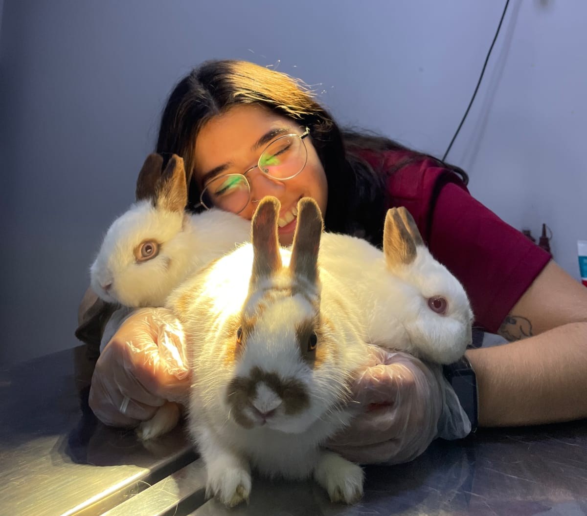 Alexia Dainez – Enfermeira Veterinária – VetCare Instituto Veterinário Valinhos