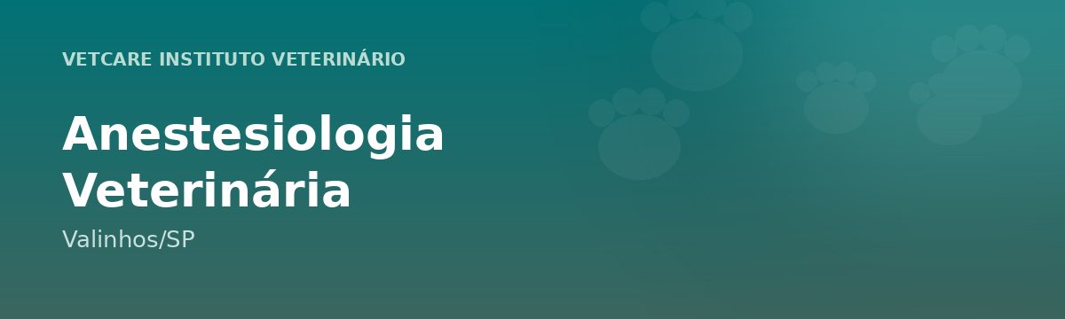 Anestesiologia Veterinária em Valinhos – VetCare Instituto Veterinário Valinhos