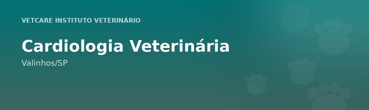 Cardiologia Veterinária em Valinhos – VetCare Instituto Veterinário Valinhos