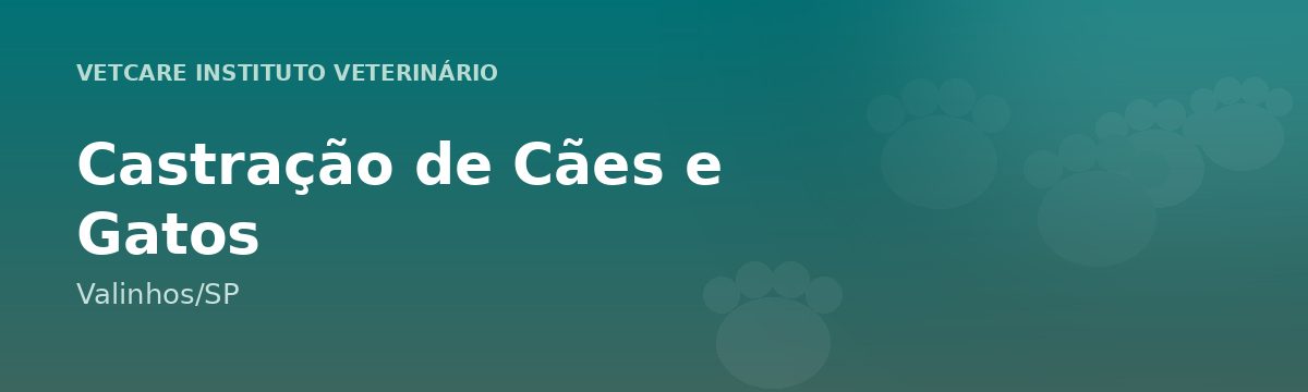 Castração de Cães e Gatos em Valinhos – VetCare Instituto Veterinário Valinhos
