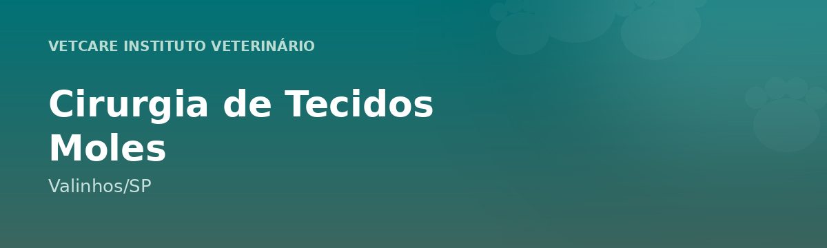 Cirurgia de Tecidos Moles em Valinhos – VetCare Instituto Veterinário Valinhos