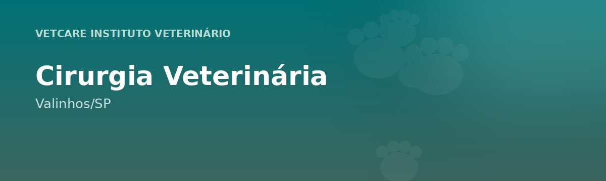 Cirurgia Veterinária em Valinhos – VetCare Instituto Veterinário Valinhos
