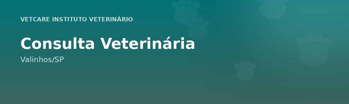 Consulta Veterinária em Valinhos – VetCare Instituto Veterinário Valinhos