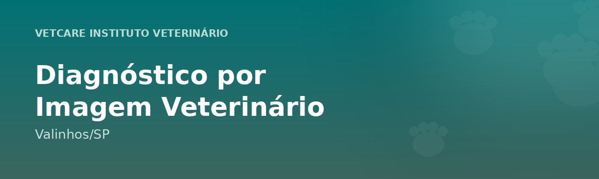 Diagnóstico por Imagem Veterinário em Valinhos – VetCare Instituto Veterinário Valinhos