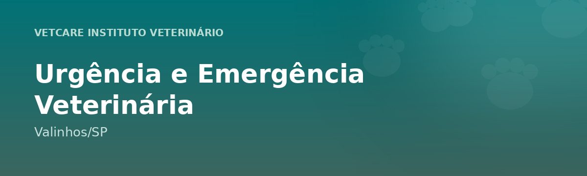 Urgência e Emergência Veterinária em Valinhos – VetCare Instituto Veterinário Valinhos