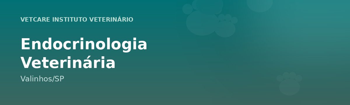 Endocrinologia Veterinária em Valinhos – VetCare Instituto Veterinário Valinhos