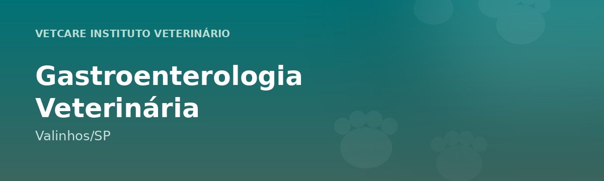 Gastroenterologia Veterinária em Valinhos – VetCare Instituto Veterinário Valinhos