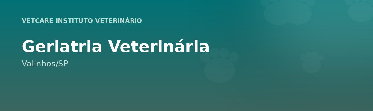 Geriatria Veterinária em Valinhos – VetCare Instituto Veterinário Valinhos
