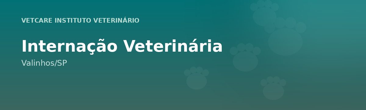 Internação Veterinária em Valinhos – VetCare Instituto Veterinário Valinhos