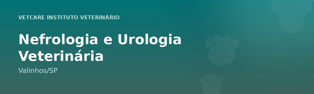 Nefrologia e Urologia Veterinária em Valinhos – VetCare Instituto Veterinário Valinhos