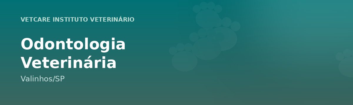 Odontologia Veterinária em Valinhos – VetCare Instituto Veterinário Valinhos