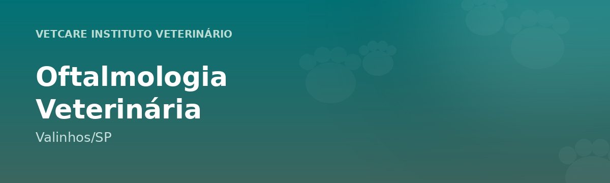 Oftalmologia Veterinária em Valinhos – VetCare Instituto Veterinário Valinhos
