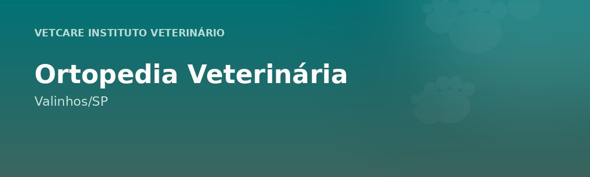 Ortopedia Veterinária em Valinhos – VetCare Instituto Veterinário Valinhos