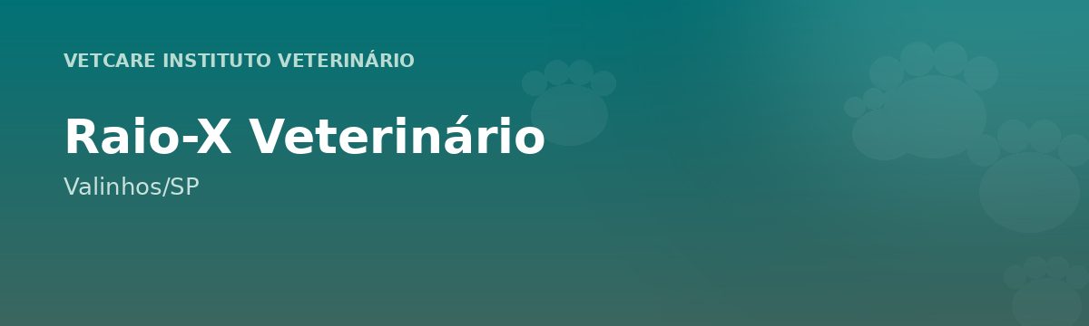 Raio-X Veterinário em Valinhos – VetCare Instituto Veterinário Valinhos