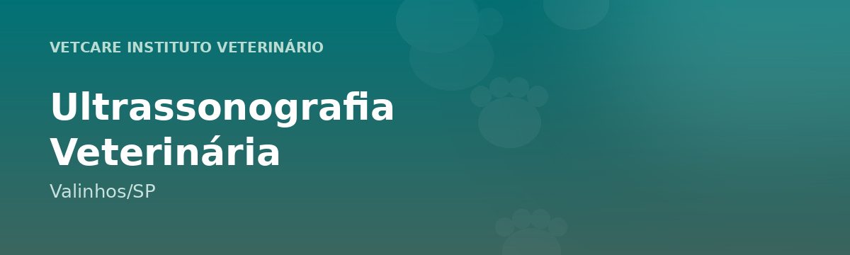 Ultrassonografia Veterinária em Valinhos – VetCare Instituto Veterinário Valinhos