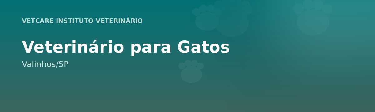 Veterinário para Gatos em Valinhos – VetCare Instituto Veterinário Valinhos