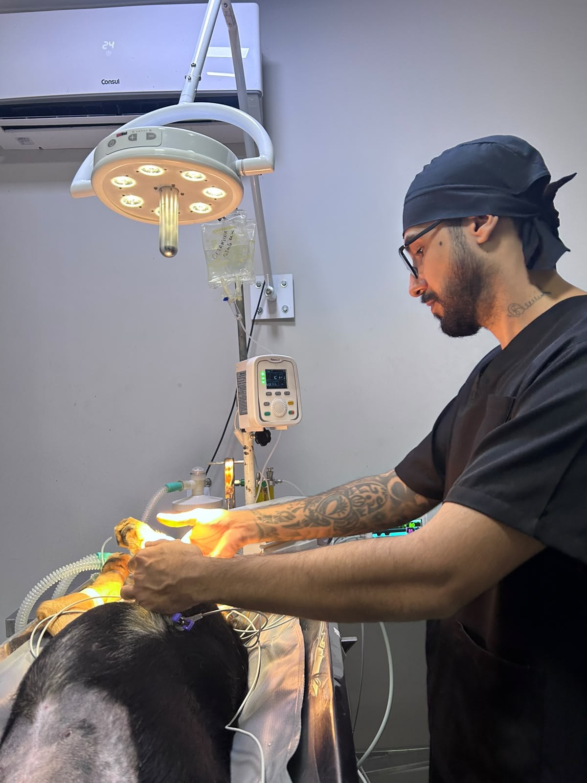 Dr. Humberto Bogoevich – Médico Veterinário Anestesiologista – VetCare Instituto Veterinário Valinhos